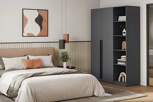 Лорена Пакс-2.1 Графит