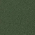 Шарли Green