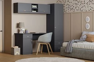 детская Стрекоза-12 Графит