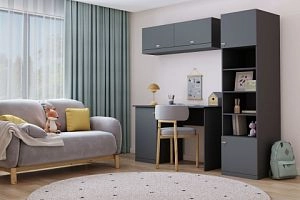 детская Стрекоза-1 Графит