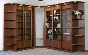 для книг Люси-2